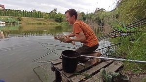 Рыбалка на собачий корм | ловим крупного карпа
