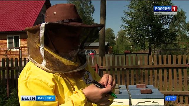 "Медовый спас" смотреть онлайн