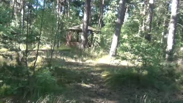 Куршская коса "Дом рыболова" смотреть онлайн