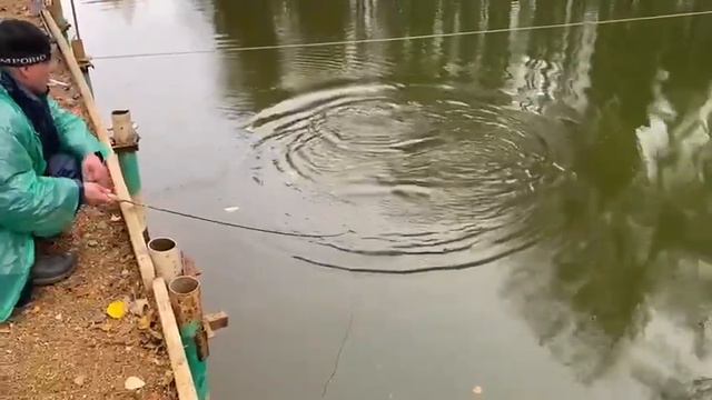 Форелевая рыбалка в Ольгово. смотреть онлайн