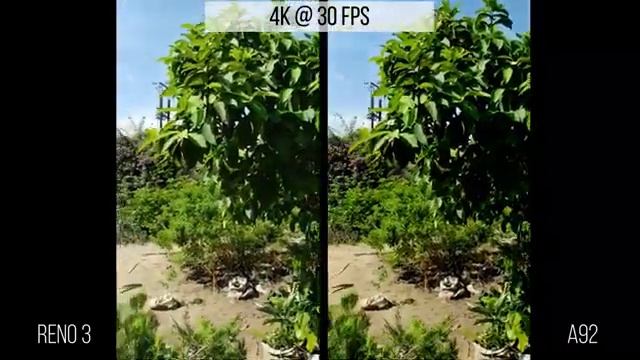 OPPO A92 VS OPPO RENO 3 - DETAILED CAMERA TEST DAN COMPARISON смотреть онлайн