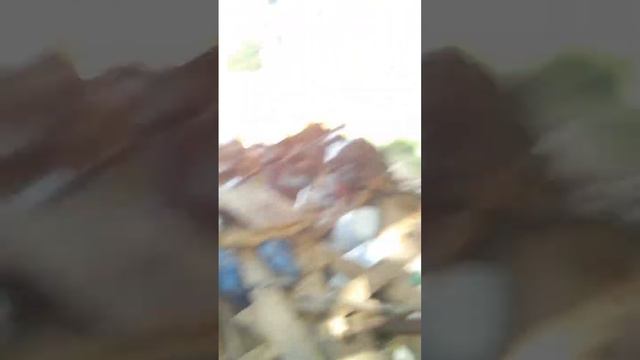 лазаем по помойкам но ничего не нашли смотреть онлайн