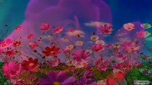 Поль Мориа. Токката. Цветы любви.