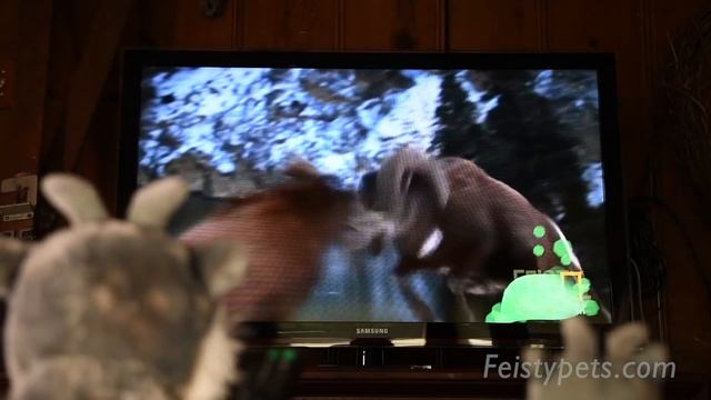 Hilarious Feisty Goat Compilation! смотреть онлайн