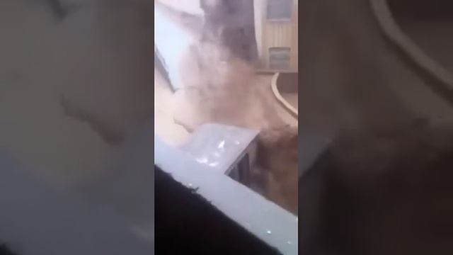 Нетипичная Махачкала смотреть онлайн