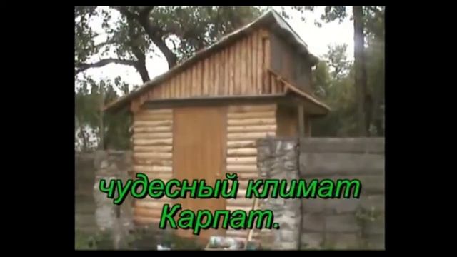 Чертежи апи домиков для пчел смотреть онлайн