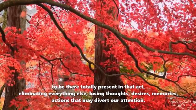 𝐂𝐡𝐢𝐚𝐫𝐚 𝐋𝐮𝐛𝐢𝐜𝐡 - Knowing how to lose - Meditation of Chiara Lubich смотреть онлайн