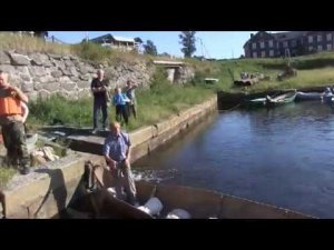 Соловки, 14 августа 2014 г. На лодке-долбленке по Белому морю.