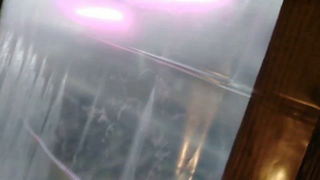 ВЫРАЩИВАНИЕ ОГУРЦОВ В ЗИМНЕЕ ВРЕМЯ в птичнике Вячеслава Синего//часть 1 смотреть онлайн