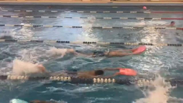 ШКОЛА ПЛАВАНИЯ МАРЛИН занятие в МФТИ смотреть онлайн