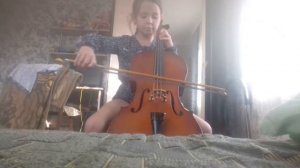 Не поверите я музыкантка играю на веолончели