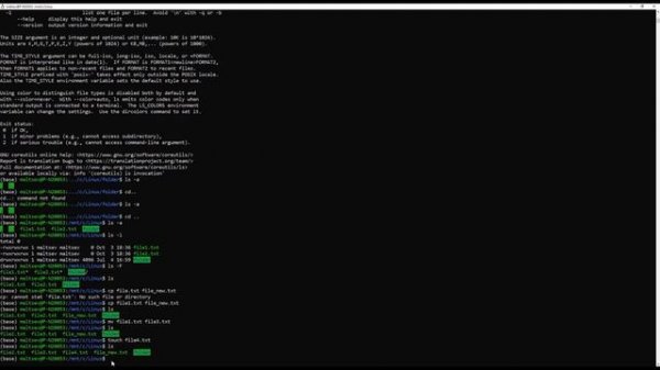 #1 Linux. Команды базового уровня
