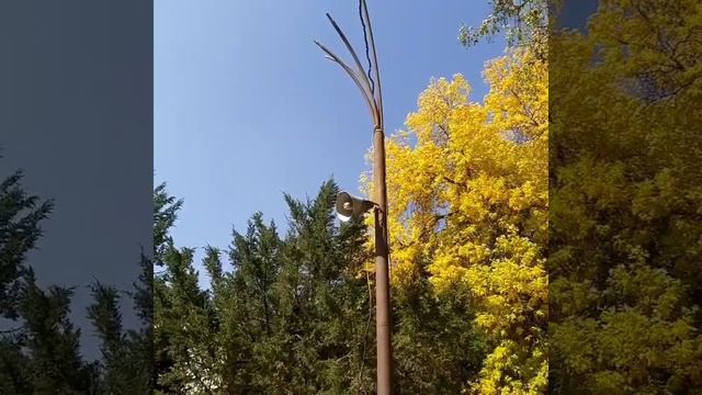 Янгиабад, Узбекистан, осень 2020г. смотреть онлайн