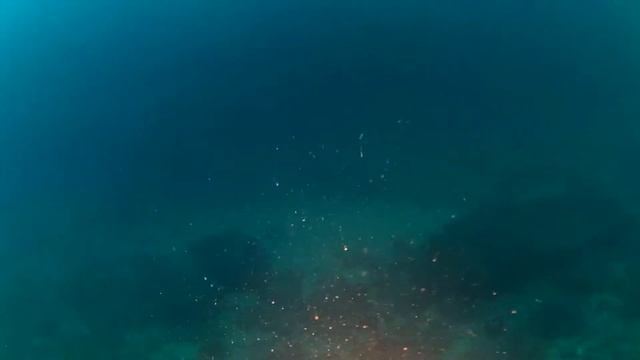 Ponta da piedade - Scuba Dive смотреть онлайн