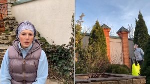 Шпаргалка по уходу за хвойными весной