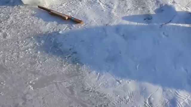 Рыбалка на хапуги. 8 декабря отчёт. смотреть онлайн