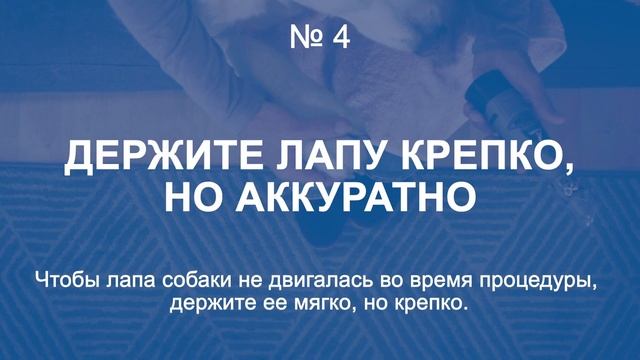 Как избежать ошибок во время ухода за когтями собаки с помощью инструментов Dremel смотреть онлайн