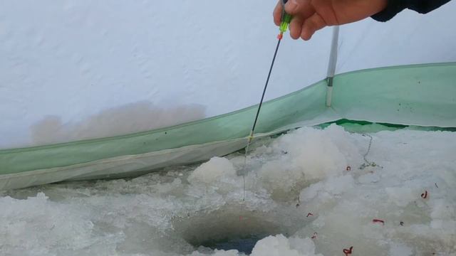 Клёвая рыбалка на леща 2021! На улице метель и -20,а рыба ест! смотреть онлайн