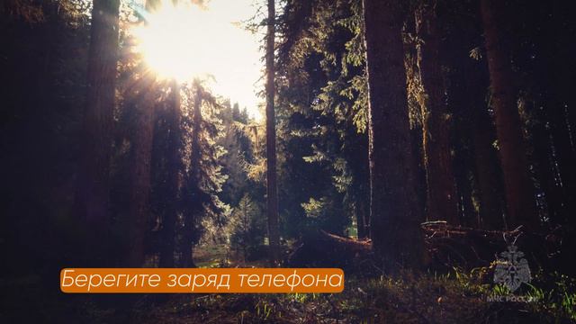 Правила поведения, если потерялся в лесу смотреть онлайн