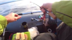 Ловля корюшки с лодки на Финском Заливе, Дамба