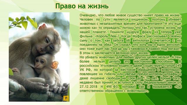 "Братья наши меньшие: их права и наша защита" смотреть онлайн