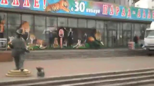 Областной цирк смотреть онлайн