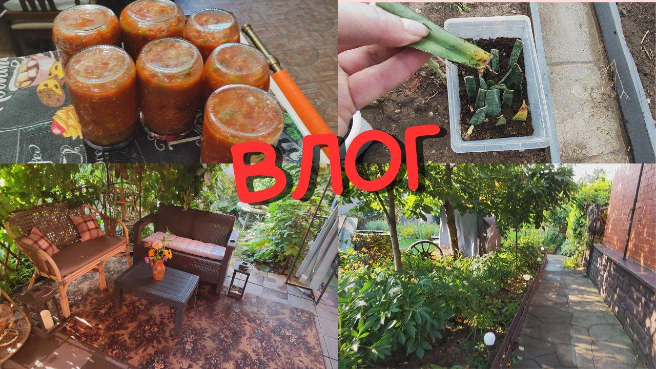 Влог/Навожу порядок на патио/Заготовки на зиму продолжаются/Баклажаны в заливке @SubTatiana смотреть онлайн