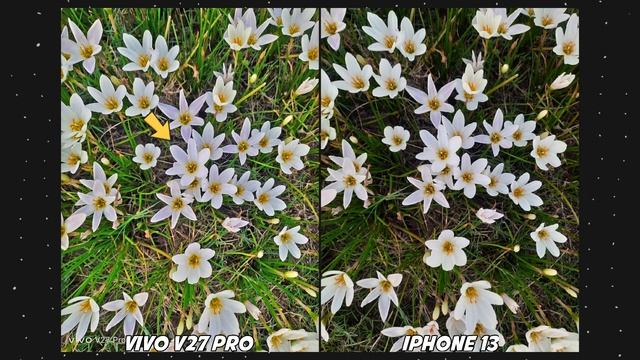 Vivo V27 Pro vs iPhone 13 Camera Comparison | Vivo V27 Pro Camera Test смотреть онлайн