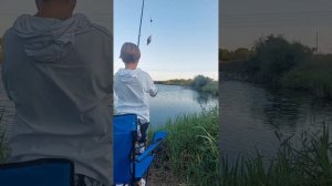 обзор и тест удочки kaida.первое видео
