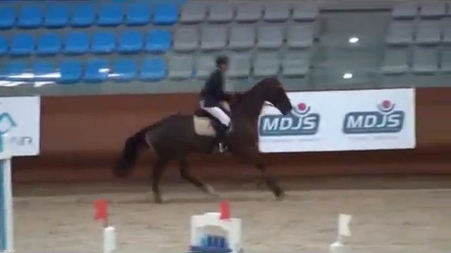 HAYTHAM GABER 2 смотреть онлайн