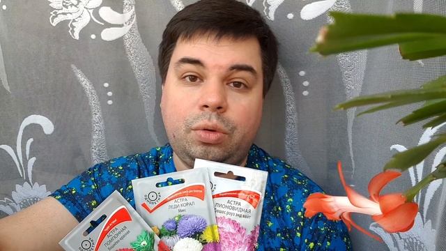 VLOG: Докупил семена для ПОСЕВА В ГРУНТ ? / Высаживаю СЕМЕНА АСТР на рассаду ? смотреть онлайн