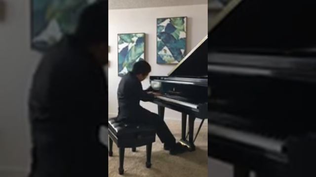 TOP PERFORMER 2nd Runner Up& FIRST PRIZE WINNER!!2019 US New Star Piano Competition GRP IV:Lin Jian смотреть онлайн