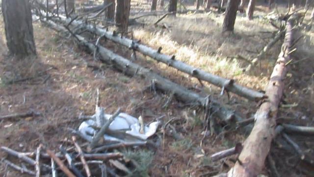 Виктор Безгодков. Сделать лучше всё вокруг - стать лучше... Родина лучше... смотреть онлайн