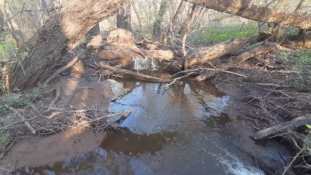Оренбургская область, Асекеевский район, село Юдинка, река Башкирка смотреть онлайн