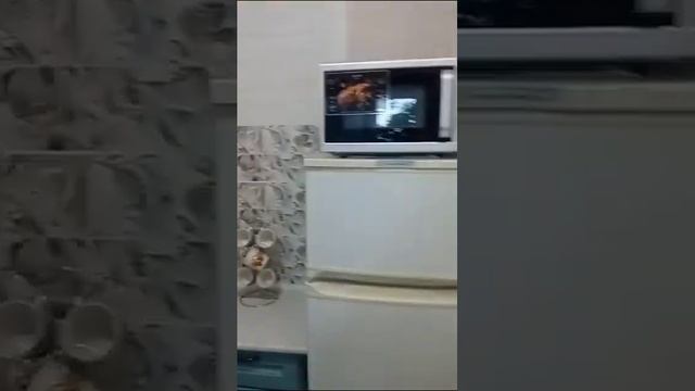 город Анапа , ул.Горького 64 смотреть онлайн