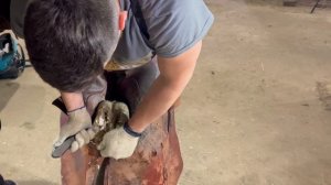 Приводим копыта лошади в порядок. Поиск баланса. Оси и горизонтали.