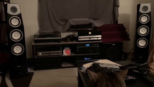 Qualiton APR-204 & APX-200 / Tellurium Q Cables / Yamaha NS-F901 / DIY TDA1541 tube DAC смотреть онлайн