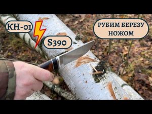 Сравниваем нашу фирменную сталь КН-01 и S390. Рубим березу ножом!
