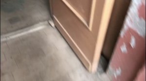 Vlog: как выбрать щенка Ши Тцу/едем в питомник❤️