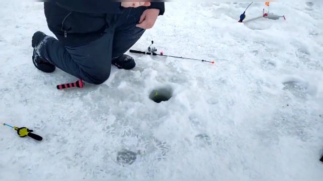 29 декабря 2022 г. смотреть онлайн