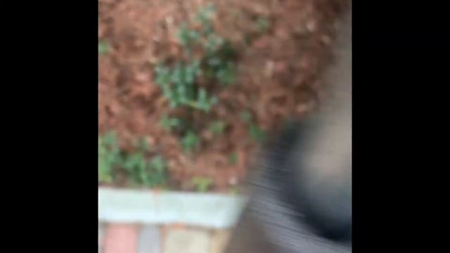 Собираем батут UnixLine Trampoline (батут пружинный)