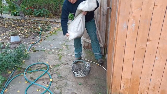 СВИНОВОДСТВО!!! КОРМЛЕНИЕ СВИНЕЙ!!! РЕМОНТ КОРЫТА!!! смотреть онлайн