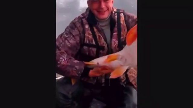 Подарок рыбаку! смотреть онлайн