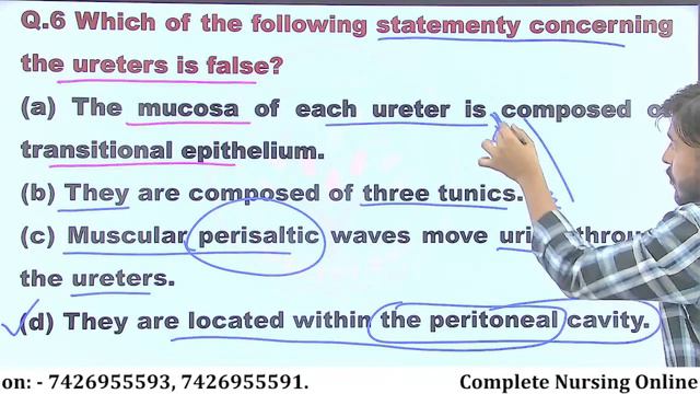 RENAL SYSTEM M.C.Q SESSION - 03 смотреть онлайн