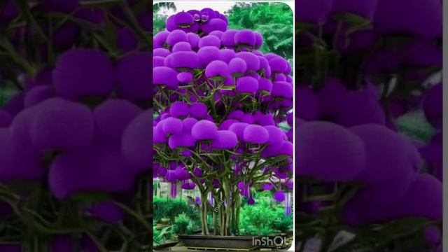 Уникальность и красота природы смотреть онлайн