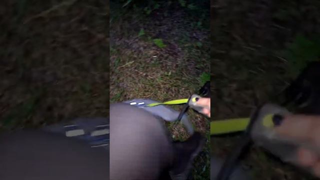 Герда и Кай на прогулке. Норки. Они тоже имеют право жить, а не быть шубой. У них есть души.