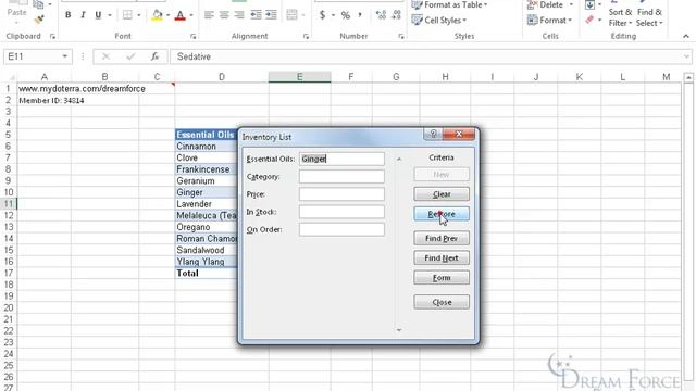 Microsoft Excel 2016: Form Data смотреть онлайн