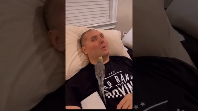 Магомед Абдусаламов играет с попугаем. МашаАллах жена достойная женщина Баканай смотреть онлайн