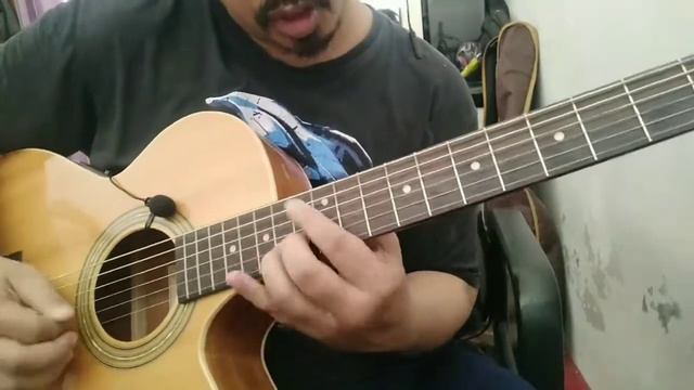 Sidewinder - Avenged Sevenfold (Lead Acoustic Guitar Cover)