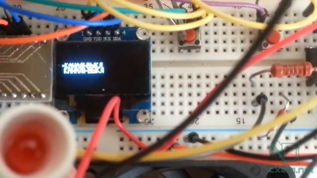 Универсальная основа для контроллера с графическим интерфейсом на ATmega8 c OLED дисплеем смотреть онлайн